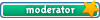 ModeratoR pe Server